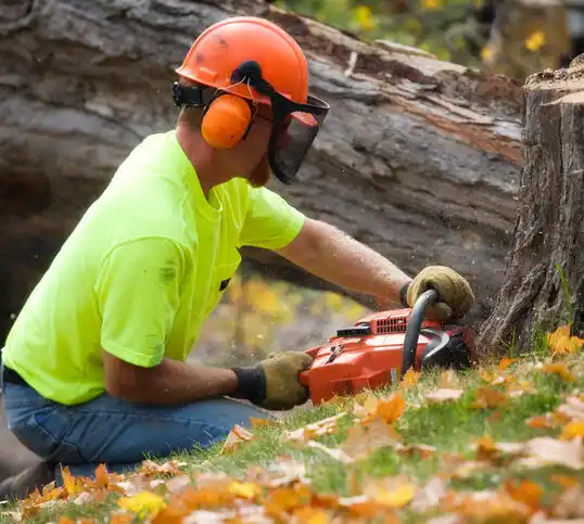 tree services Tunica